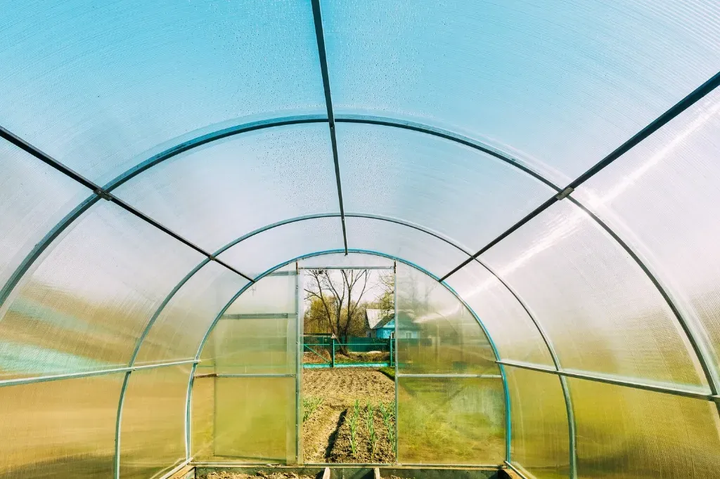 Jak chronić tunel foliowy